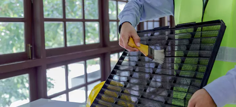 Traditional Window Grille Installation Options in Peterborough, ON
